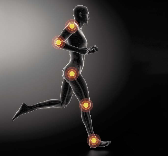 Програма Лекота на движението