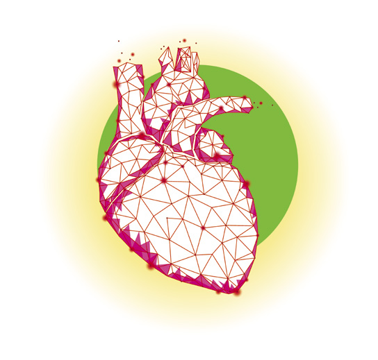 Подкрепа на сърдечно-съдовата система